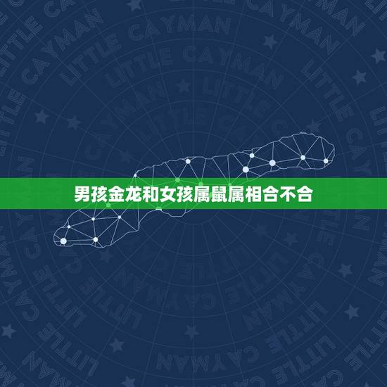 男孩金龙和女孩属鼠属相合不合,男的属相龙和女的属相马配吗? 男孩金龙和女孩属鼠属相合不合,男的属相龙和女的属相马配吗?