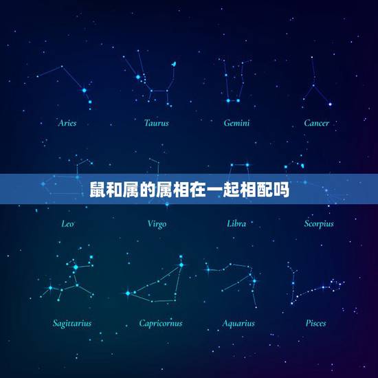 鼠和属的属相在一起相配吗,属鼠的生肖和属虎的生肖相配吗? 鼠和属的属相在一起相配吗,属鼠的生肖和属虎的生肖相配吗?