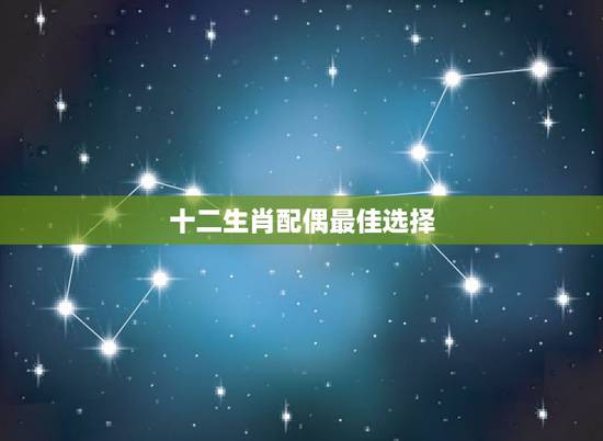 十二生肖配偶最佳选择,十二生肖最佳配偶 十二生肖配偶最佳选择,十二生肖最佳配偶