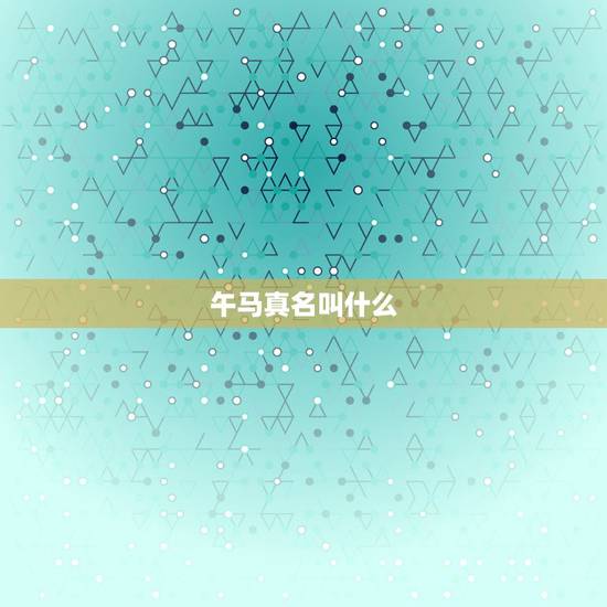 午马真名叫什么,午马百度百科 午马真名叫什么,午马百度百科