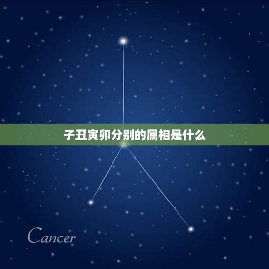 子丑寅卯分别的属相是什么,子丑寅卯辰巳午未申酉戌亥分别为几月 子丑寅卯分别的属相是什么,子丑寅卯辰巳午未申酉戌亥分别为几月