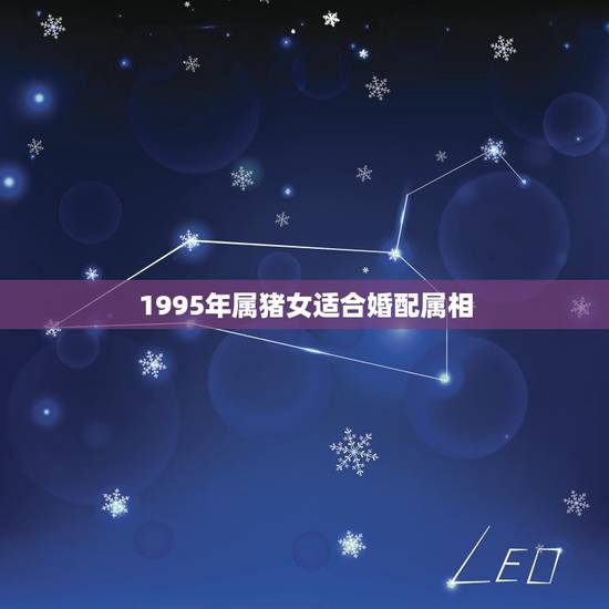1995年属猪女适合婚配属相,属猪的最佳配偶属相:1995年的猪,阴历 1995年属猪女适合婚配属相,属猪的最佳配偶属相:1995年的猪,阴历
