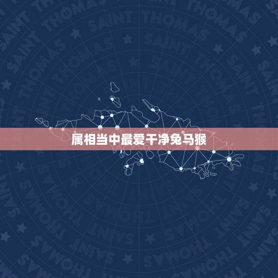 属相当中最爱干净兔马猴，属兔的和什么属相相冲