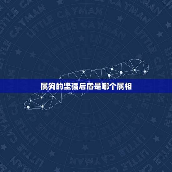 属狗的坚强后盾是哪个属相，属狗的和哪个属相匹配