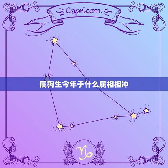 属狗生今年于什么属相相冲，属狗和什么属相相克