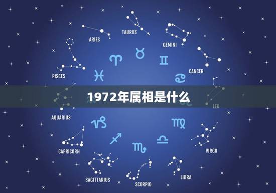 1972年属相是什么，1972年属鼠的人是什么命