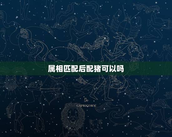属相匹配后配猪可以吗,属猪的和什么属相最配婚姻 属相匹配后配猪可以吗,属猪的和什么属相最配婚姻