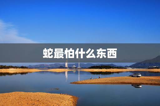 蛇最怕什么东西,蛇最喜欢吃什么水果 蛇最怕什么东西,蛇最喜欢吃什么水果