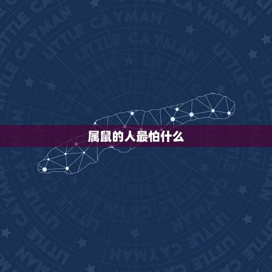 属鼠的人最怕什么,属鼠的取名最怕什么 属鼠的人最怕什么,属鼠的取名最怕什么