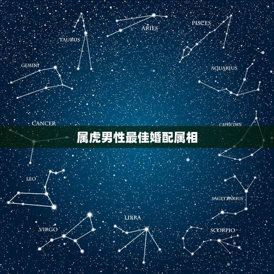属虎男性最佳婚配属相，属虎的最佳配对属相是什么？