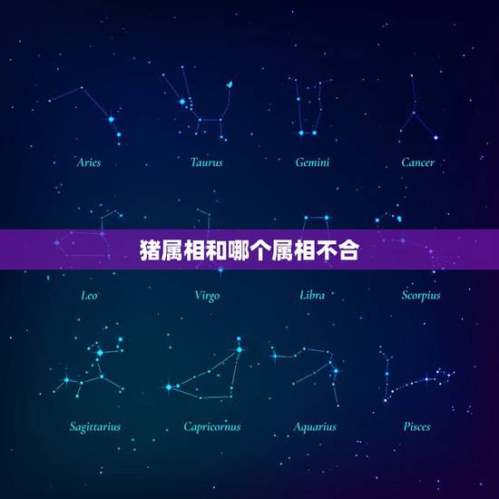 猪属相和哪个属相不合,属猪的和属猪的人结婚忌讳什么属相的当伴娘 猪属相和哪个属相不合,属猪的和属猪的人结婚忌讳什么属相的当伴娘