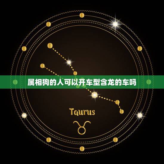 属相狗的人可以开车型含龙的车吗,属狗的和属龙的相配吗 属相狗的人可以开车型含龙的车吗,属狗的和属龙的相配吗