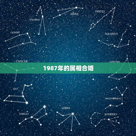 1987年的属相合婚，87年属兔生肖配对