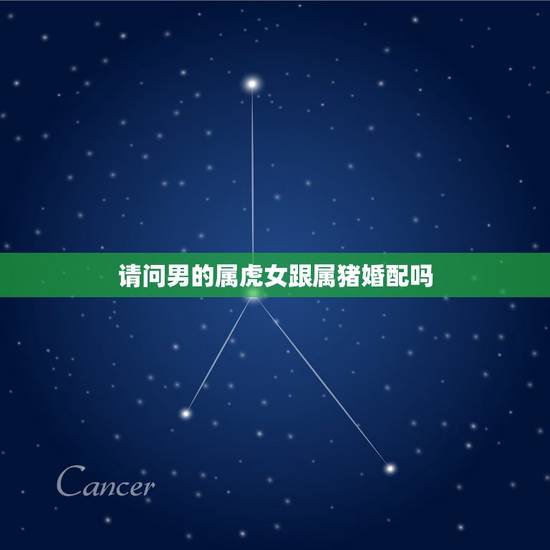 请问男的属虎女跟属猪婚配吗，我属虎的（男）能和属猪的（女）结婚吗？