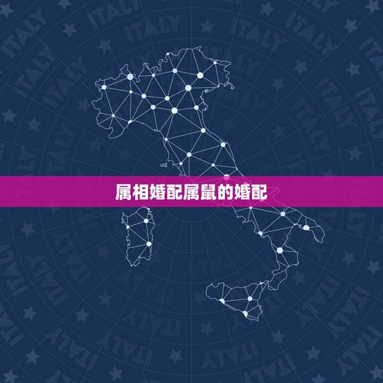 属相婚配属鼠的婚配,属鼠的属相婚配表,属鼠和什么属相最配 属相婚配属鼠的婚配,属鼠的属相婚配表,属鼠和什么属相最配