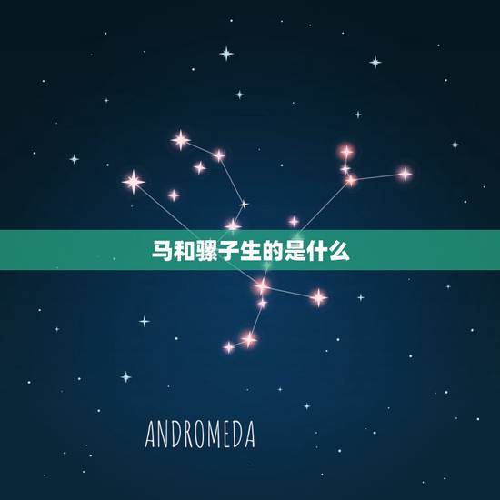 马和骡子生的是什么,为什么要繁殖骡子 马和骡子生的是什么,为什么要繁殖骡子