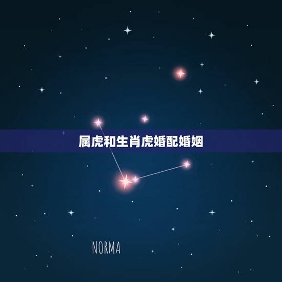属虎和生肖虎婚配婚姻，男属猪和女属虎婚姻相配吗？