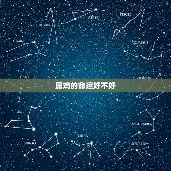 属鸡的命运好不好,十鸡九苦大金鸡最命苦是真的吗 属鸡的命运好不好,十鸡九苦大金鸡最命苦是真的吗