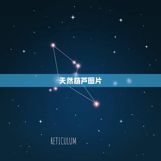 天然葫芦图片,葫芦风水摆放有哪些禁忌 天然葫芦图片,葫芦风水摆放有哪些禁忌
