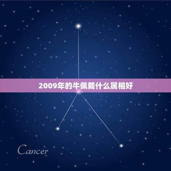2009年的牛佩戴什么属相好，09年属牛的吉祥物