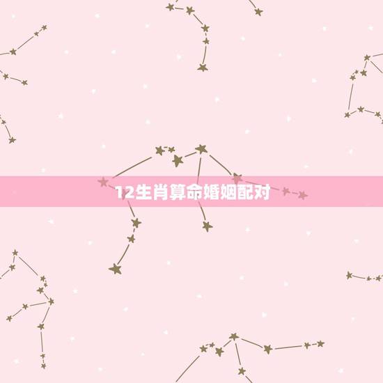12生肖算命婚姻配对,最准的12生肖配对表? 12生肖算命婚姻配对,最准的12生肖配对表?