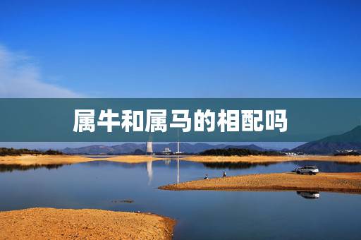属牛和属马的相配吗，牛马结婚真的会克死吗
