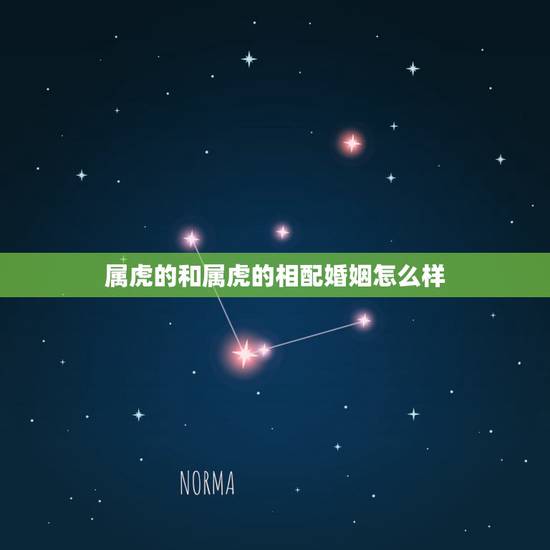 属虎的和属虎的相配婚姻怎么样，男虎女虎相克吗