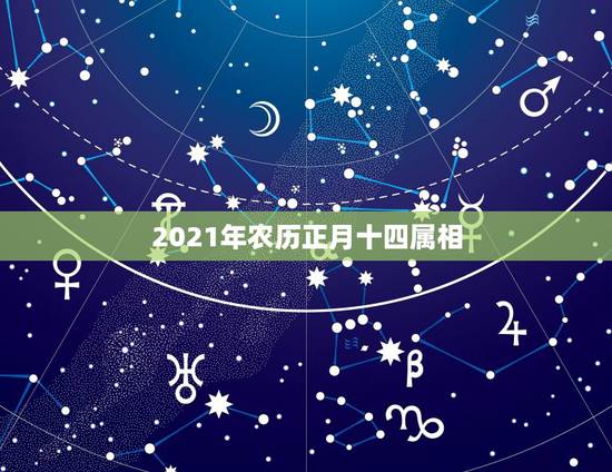 2021年农历正月十四属相，1991阴历正月十四五行中属哪行