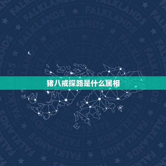 猪八戒探路是什么属相,猪八戒探路猜生肖 猪八戒探路是什么属相,猪八戒探路猜生肖