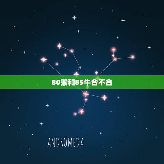 80猴和85牛合不合，80年属猴女与85年属牛男相配吗？