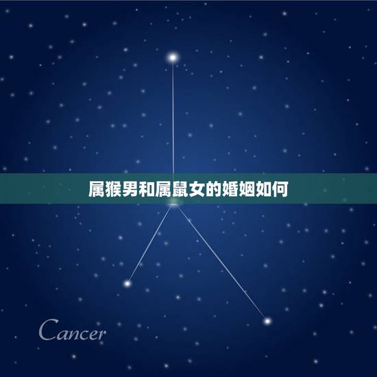 属猴男和属鼠女的婚姻如何，男属猴女属鼠配吗 详细