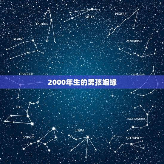 2000年生的男孩姻缘，两个2000年龙婚姻合不合