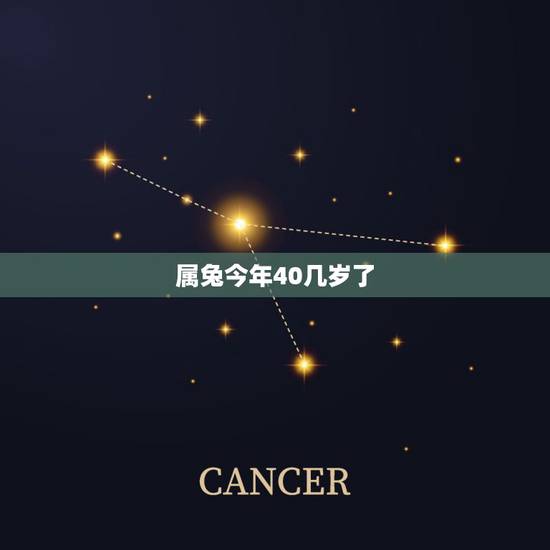 属兔今年40几岁了,属兔的五十几 属兔今年40几岁了,属兔的五十几