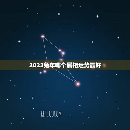 2023兔年哪个属相运势最好,兔年运势2021年运势如何 2023兔年哪个属相运势最好,兔年运势2021年运势如何