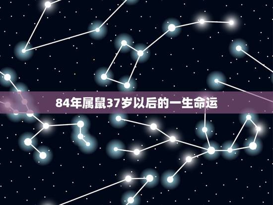 84年属鼠37岁以后的一生命运,84年属鼠人最穷不过36岁 84年属鼠37岁以后的一生命运,84年属鼠人最穷不过36岁