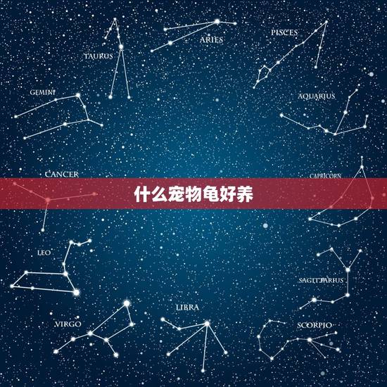 什么宠物龟好养,宠物龟都有哪些?哪个宠物龟好养活,寿命长? 什么宠物龟好养,宠物龟都有哪些?哪个宠物龟好养活,寿命长?
