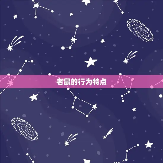 老鼠的行为特点 老鼠的行为特点