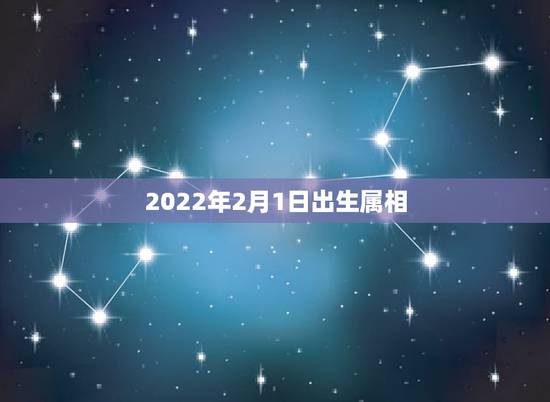 2022年2月1日出生属相，2022年1月出生的宝宝属什么？