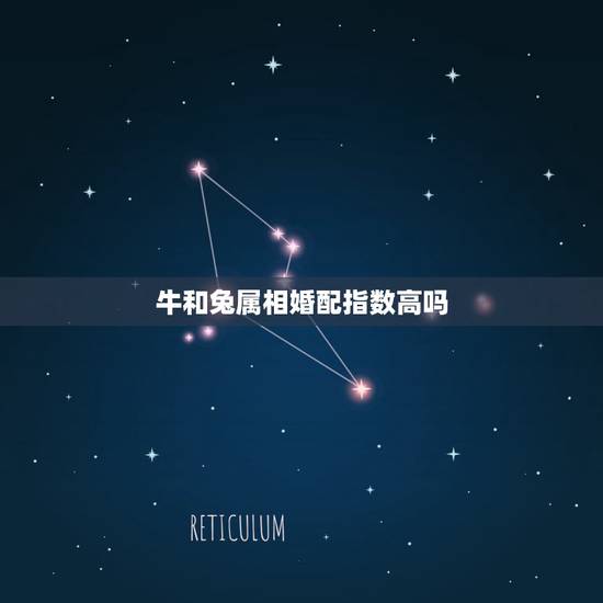 牛和兔属相婚配指数高吗,属兔和属牛的相配吗 牛和兔属相婚配指数高吗,属兔和属牛的相配吗