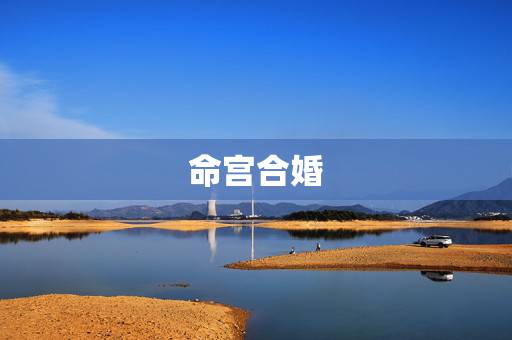 命宫合婚，命理合婚