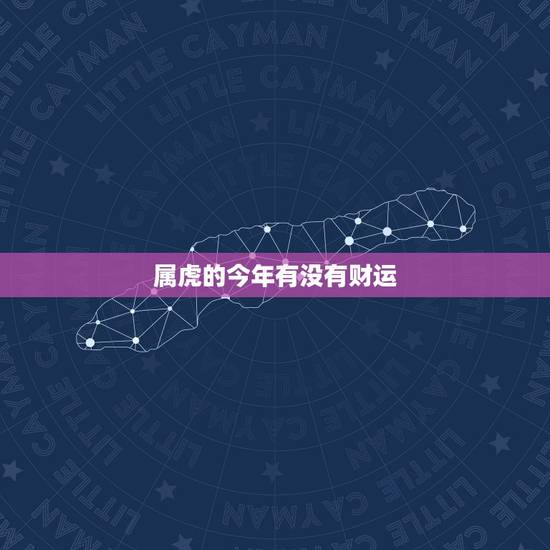 属虎的今年有没有财运，夫妻俩个都属虎今年的财运好吗？