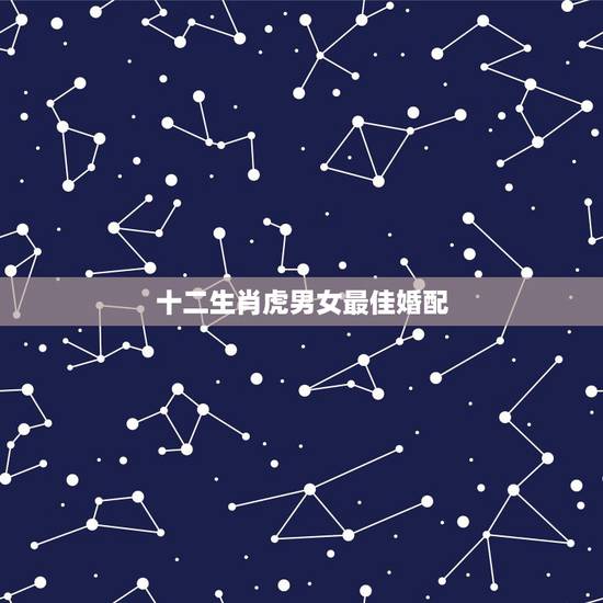 十二生肖虎男女最佳婚配，十二生肖猪的婚配和虎合适吗？