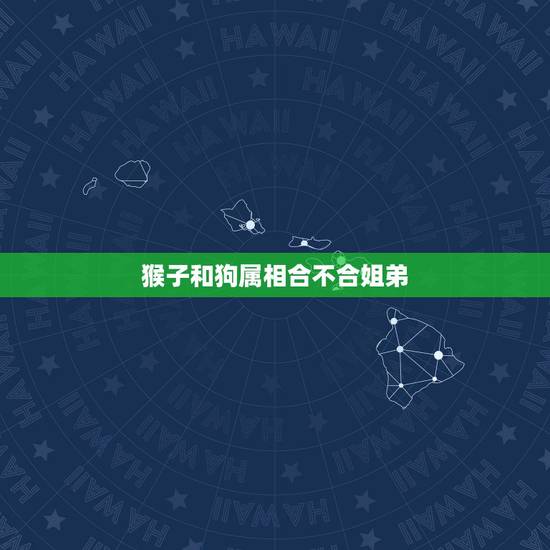 猴子和狗属相合不合姐弟，属狗与属猴的合不合