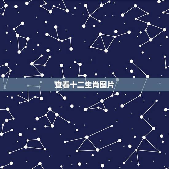 查看十二生肖图片，十二生肖的图像