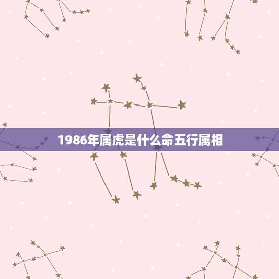 1986年属虎是什么命五行属相,1986年属虎的到底是五行中的哪一个? 1986年属虎是什么命五行属相,1986年属虎的到底是五行中的哪一个?