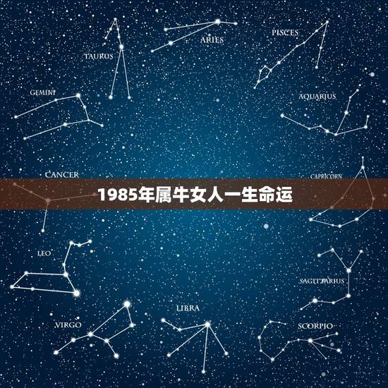 1985年属牛女人一生命运，帮我算属牛1985年出生的一生的命运和 财