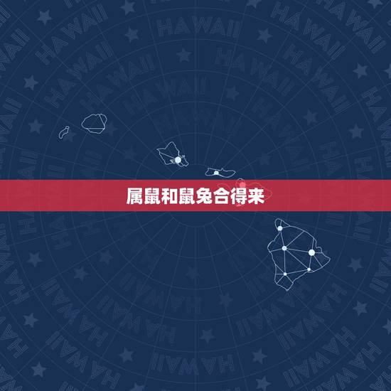 属鼠和鼠兔合得来,1996鼠与1999兔的婚姻 属鼠和鼠兔合得来,1996鼠与1999兔的婚姻