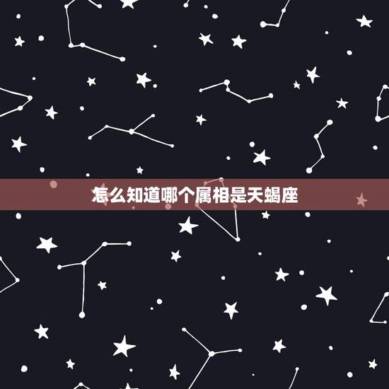 怎么知道哪个属相是天蝎座,天蝎座是什么属相的最好?做事最容易成功? 怎么知道哪个属相是天蝎座,天蝎座是什么属相的最好?做事最容易成功?