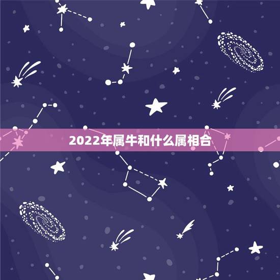 2022年属牛和什么属相合，2022 年属牛人的全年运势女