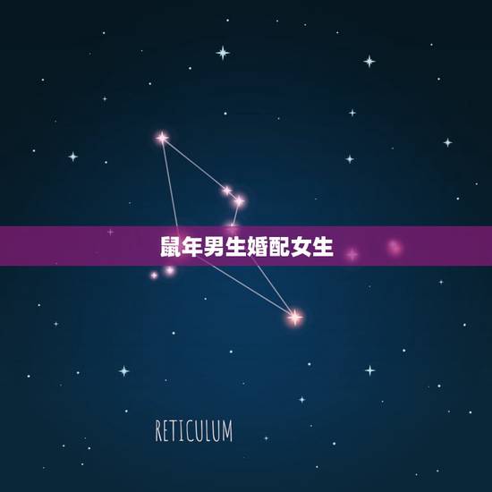 鼠年男生婚配女生.什么生肖最佳，属老鼠的女孩该配属什么的男孩最好？
